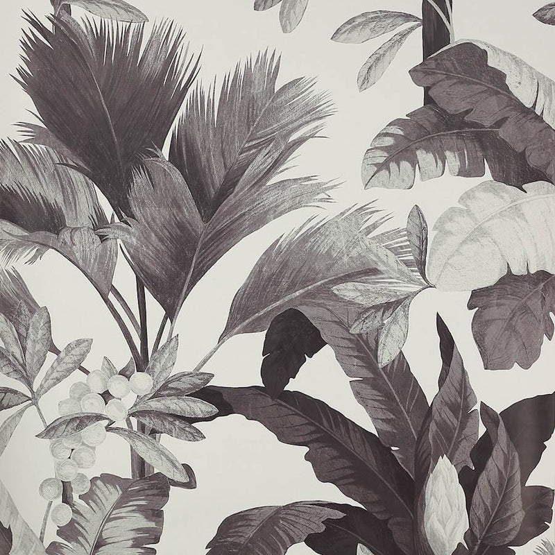 Salengro Tapet — Manuel Canovas