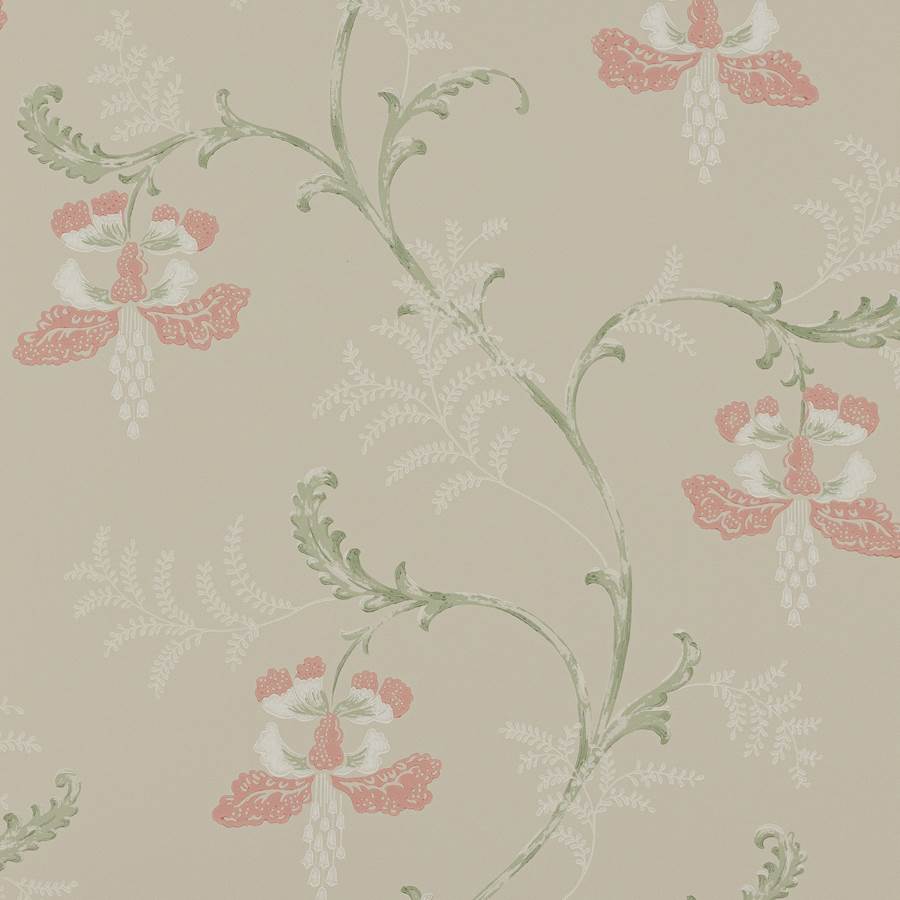Colefax and Fowler Tapet Bellflower Pink Green