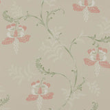 Colefax and Fowler Tapet Bellflower Pink Green
