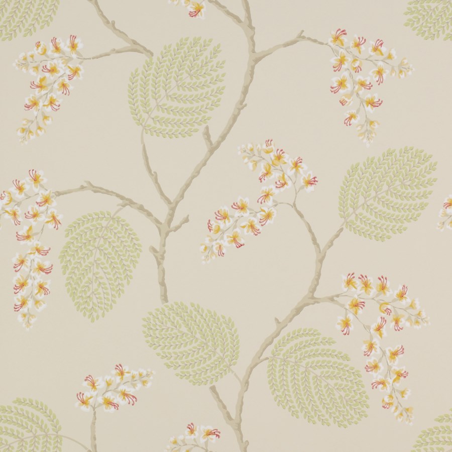 Colefax and Fowler Tapet Atwood Coral Green