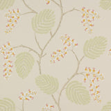 Colefax and Fowler Tapet Atwood Coral Green