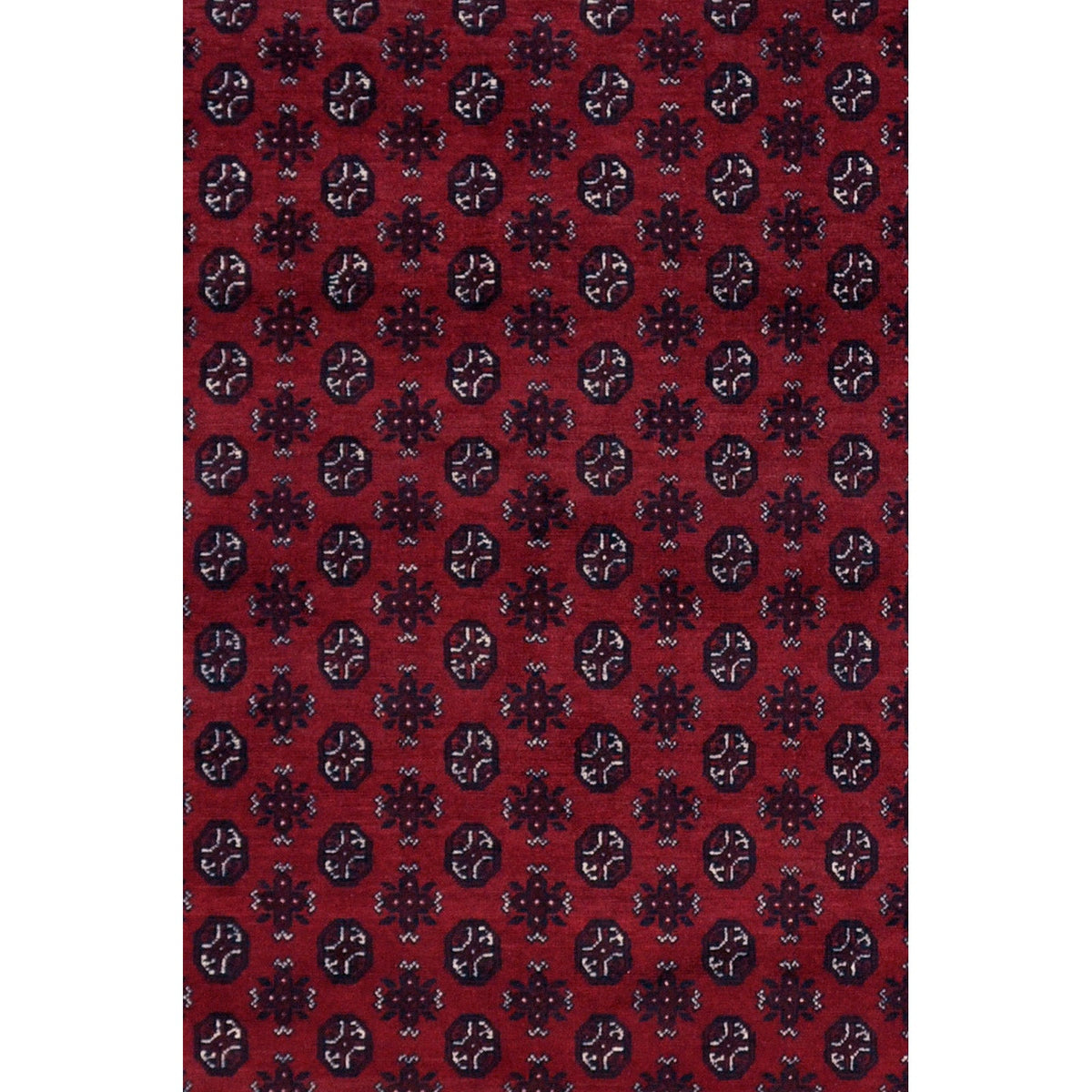 Agcha 336x247 cm