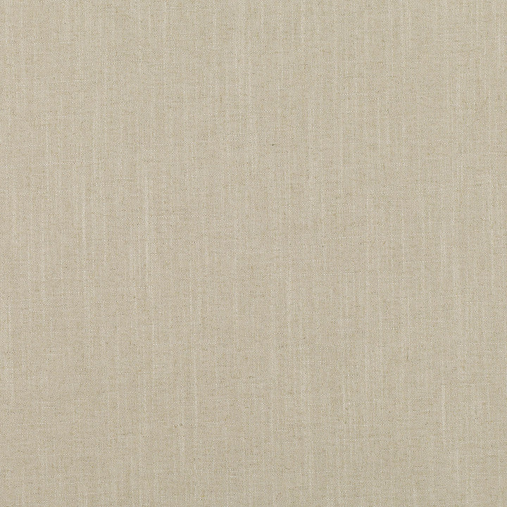 Asuri Tygprov Soapstone
