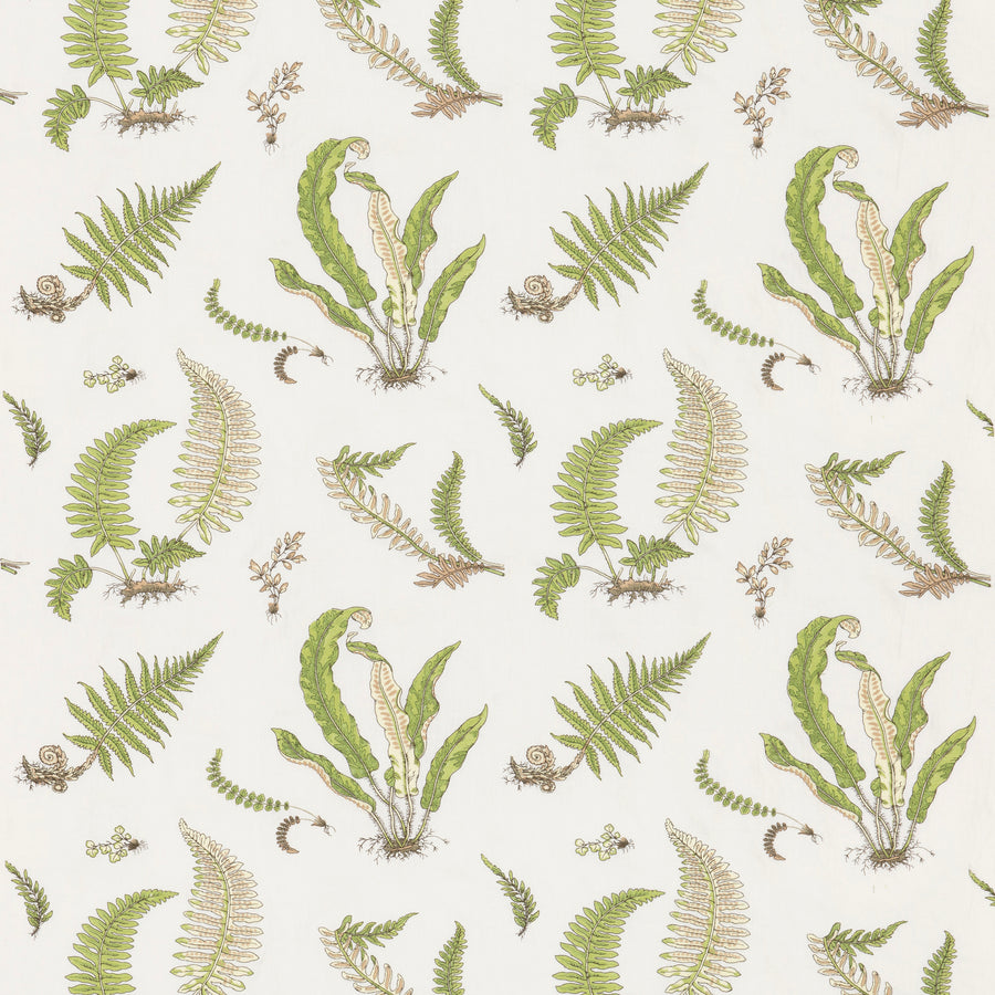Ferns Embroidery — Burford — G P & J Baker