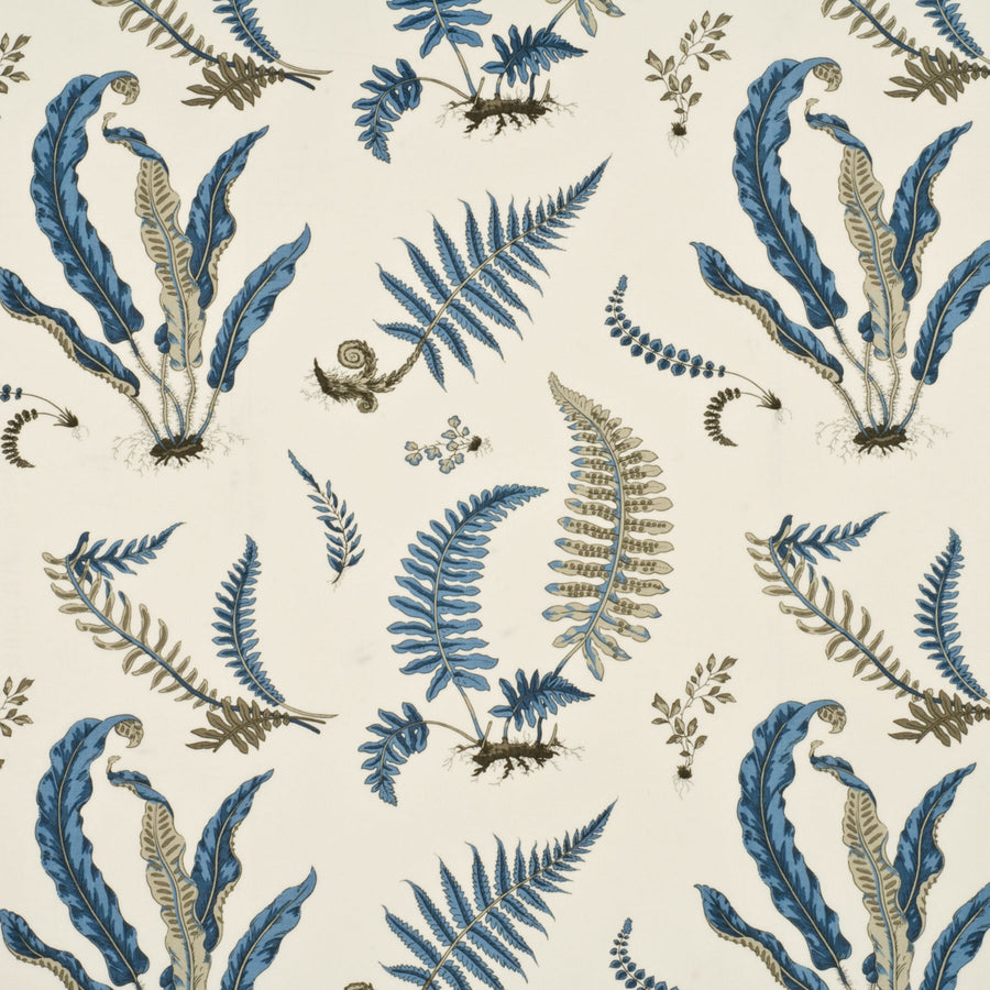 Ferns — G P & J Baker