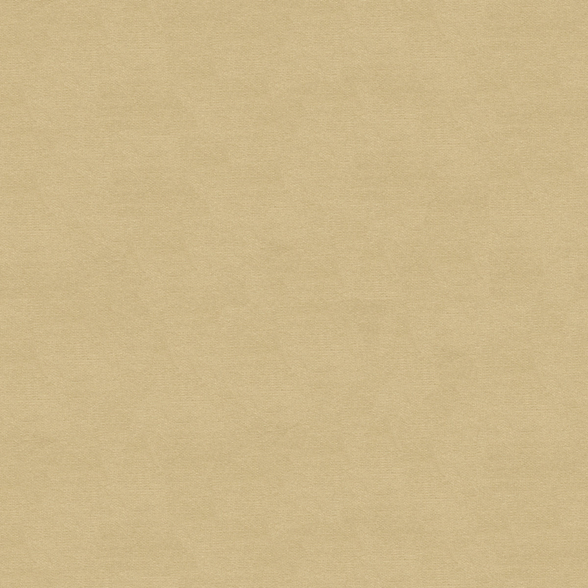 Lubeck Cotton Velvet Tyg