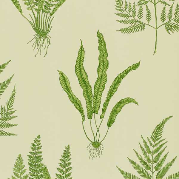 Woodland Ferns Tapet — Sanderson