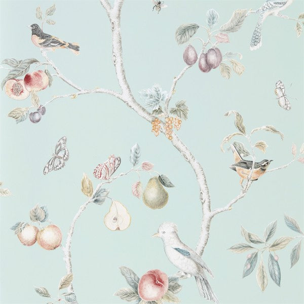 Sanderson Tapet Fruit Aviary Duck Egg/Multi
