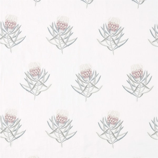 Protea Flower Tyg — Sanderson
