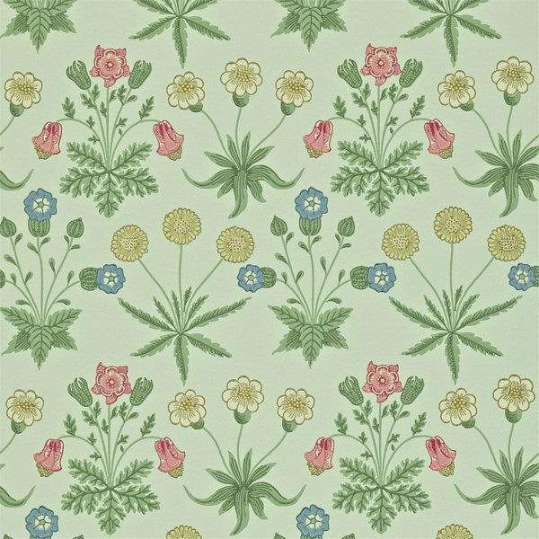 Daisy Tapet — Morris & Co