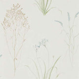 Sanderson Tapet Farne Grasses Cream/Sage