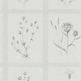 Sanderson Tapet Little Thistles Pewter