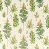 Sanderson Tyg Fernery Olive