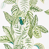 Sanderson Tapet Calathea Botanical Green