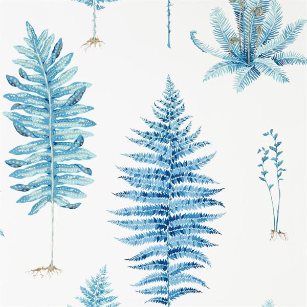 Sanderson Tapet Fernery China Blue