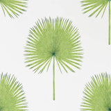 Sanderson Tapet Fan Palm Botanical Green