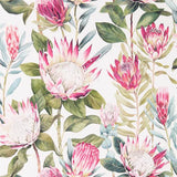 Sanderson Tapet King Protea Rhodera/Cream