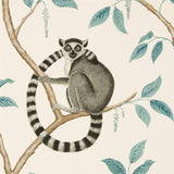 Sanderson Tapet Ringtailed Lemur Ringtailed Lemur Stone/Eucalyptus