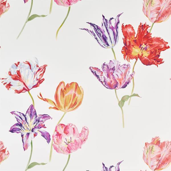 Sanderson Tapet Tulipomania Tulipomania Botanical