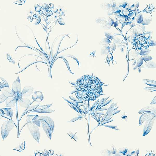 Etchings & Roses Tapet — Sanderson