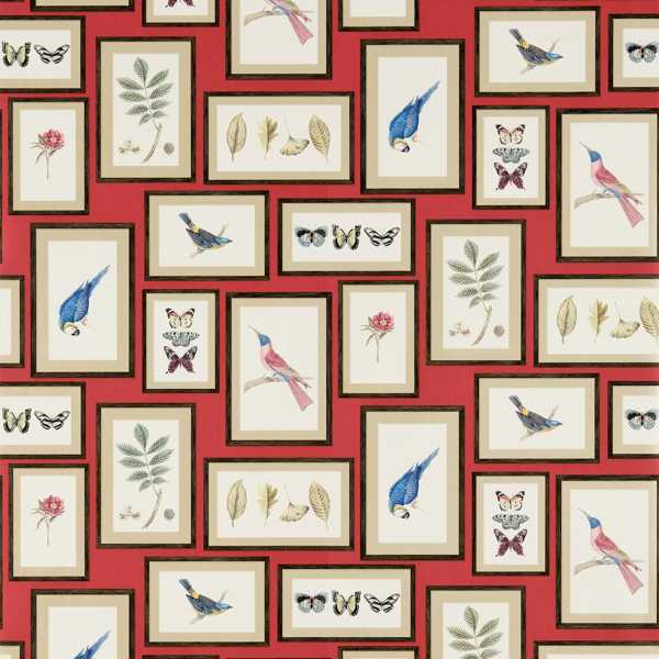 Sanderson Tapet Picture Gallery Red/Multi