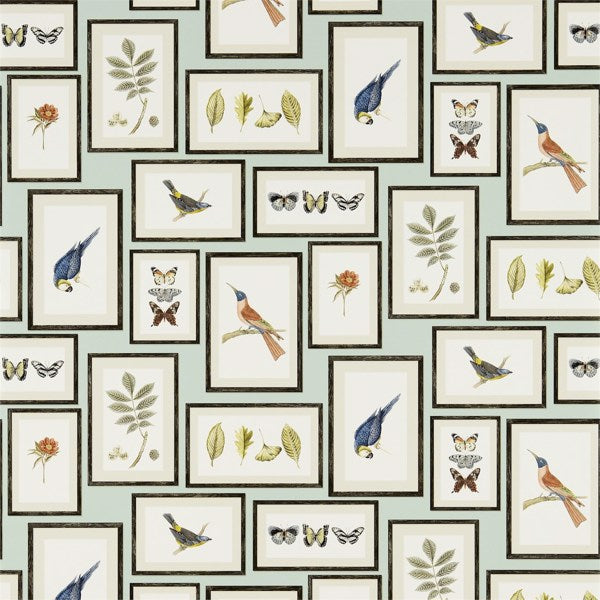 Sanderson Tapet Picture Gallery Aqua/Multi
