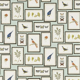 Sanderson Tapet Picture Gallery Aqua/Multi