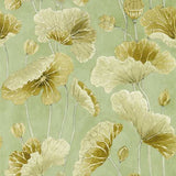 Sanderson Tapet Lotus Leaf Oriental Green/ Olive