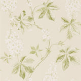 Sanderson Tapet Chestnut Tree Lemon/Lettuce