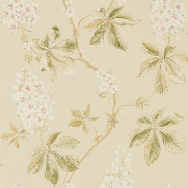 Sanderson Tapet Chestnut Tree Coral/Bayleaf