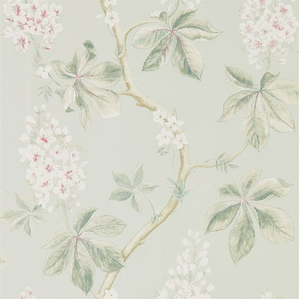 Sanderson Tapet Chestnut Tree Seaspray/Peony