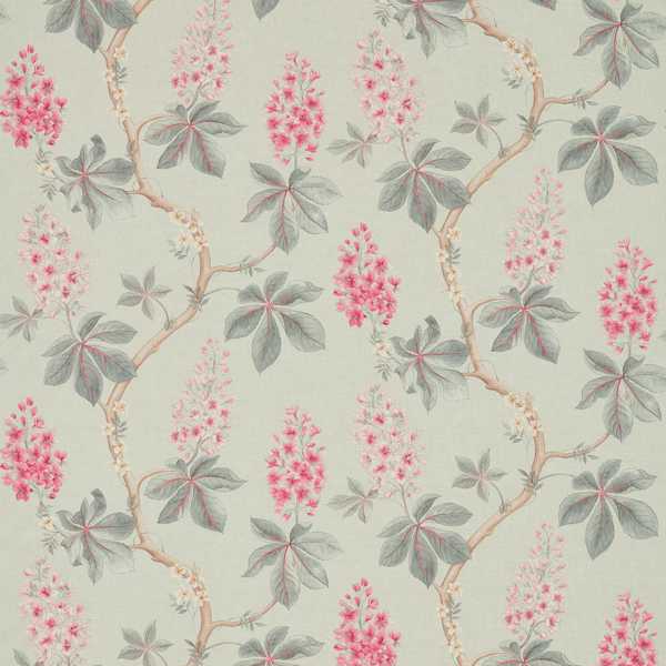 Sanderson Tyg Chestnut Tree Seaspray/Peony
