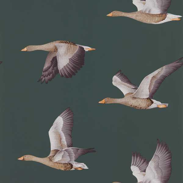 Elysian Geese (Wallpaper) Tapet — Sanderson
