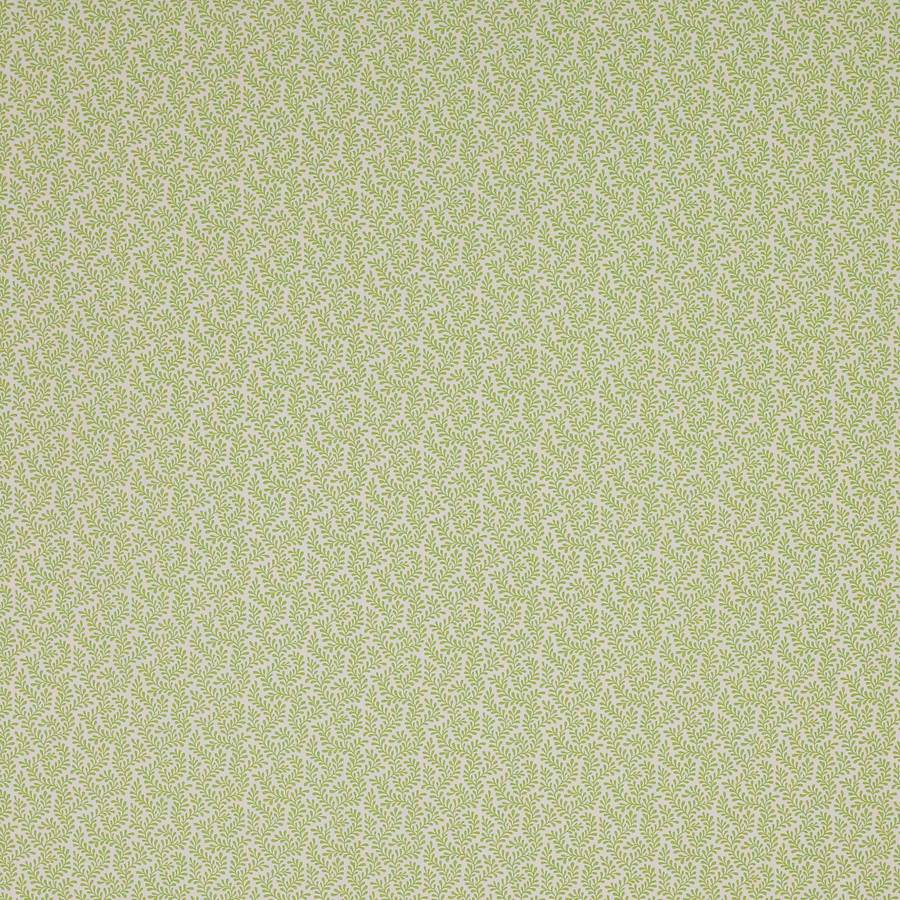 Colefax and Fowler Tyg Blythe Leaf