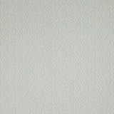 Colefax and Fowler Tyg Blythe Aqua
