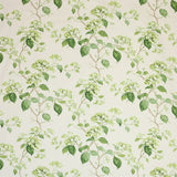 Colefax and Fowler Tyg Summerby Cotton Leaf Grn