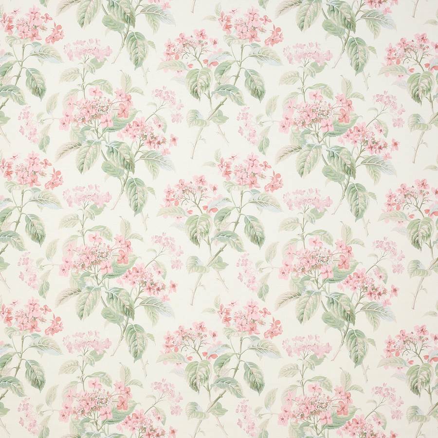 Eloise Tyg — Colefax & Fowler