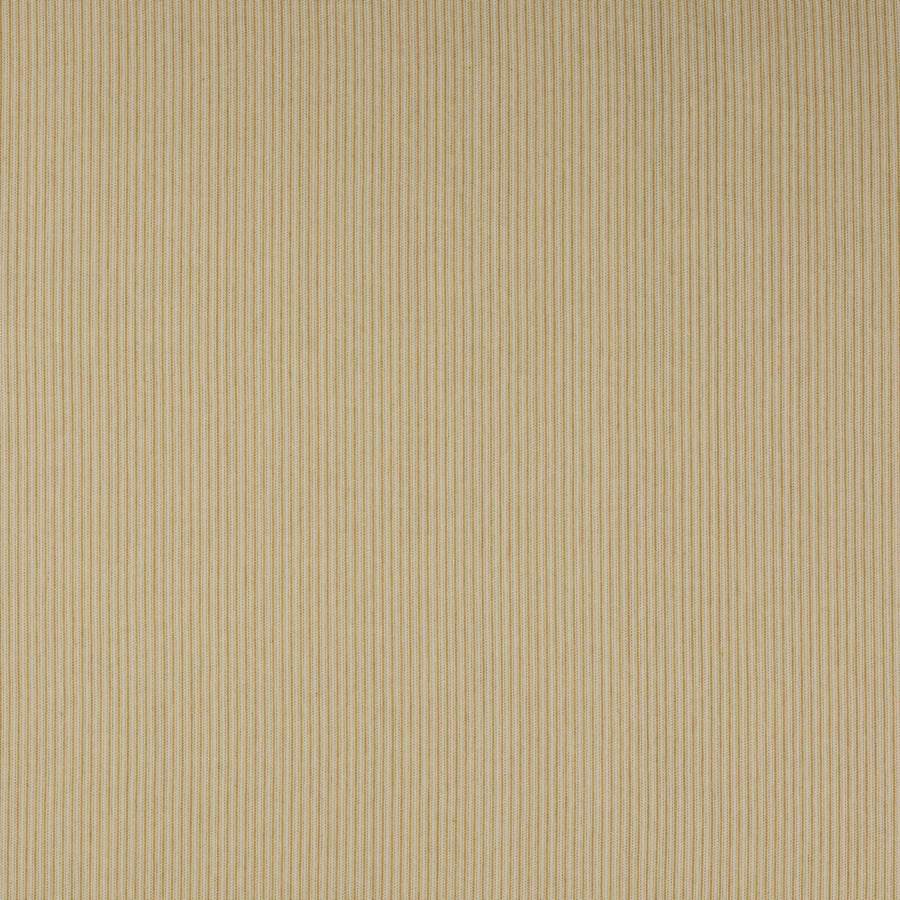 Colefax and Fowler Tyg Hardy Stripe Gold