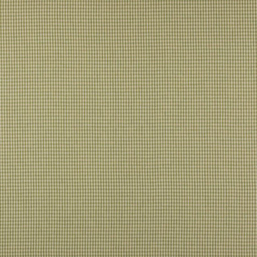 Colefax and Fowler Tyg Jay Check Leaf Green
