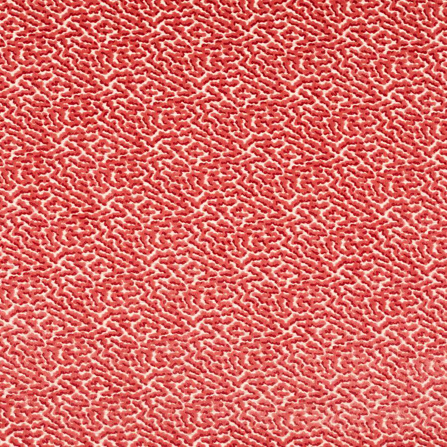 Colefax and Fowler Tyg Kemble Coral