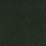 Ralph Lauren Home Tyg Riding Velvet Green