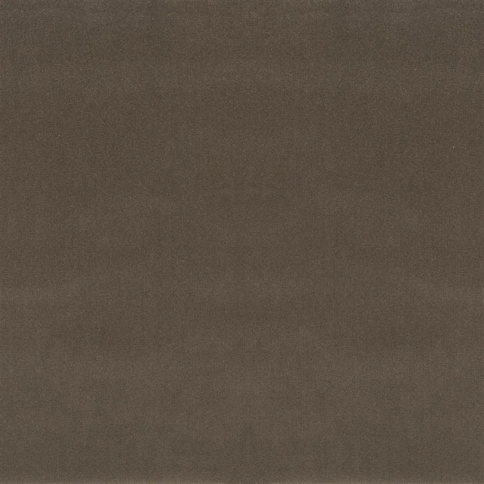 Riding Velvet Tygprov - Truffle