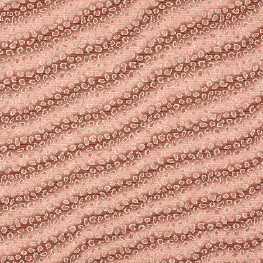 Suzanne Tyg — Manuel Canovas