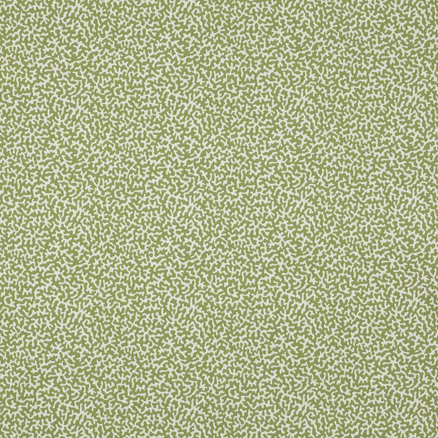 Manuel Canovas Tyg Apolline Kiwi
