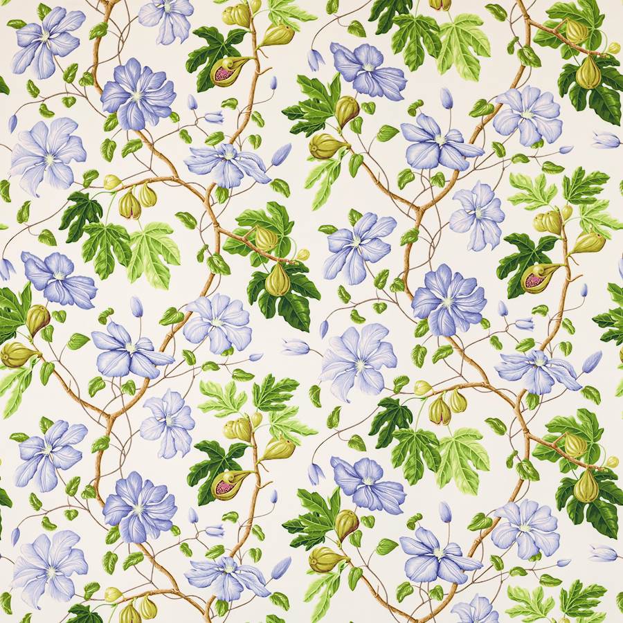 Castellane-kangas | Manuel Canovas