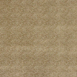 Manuel Canovas Tyg Titus Champagne