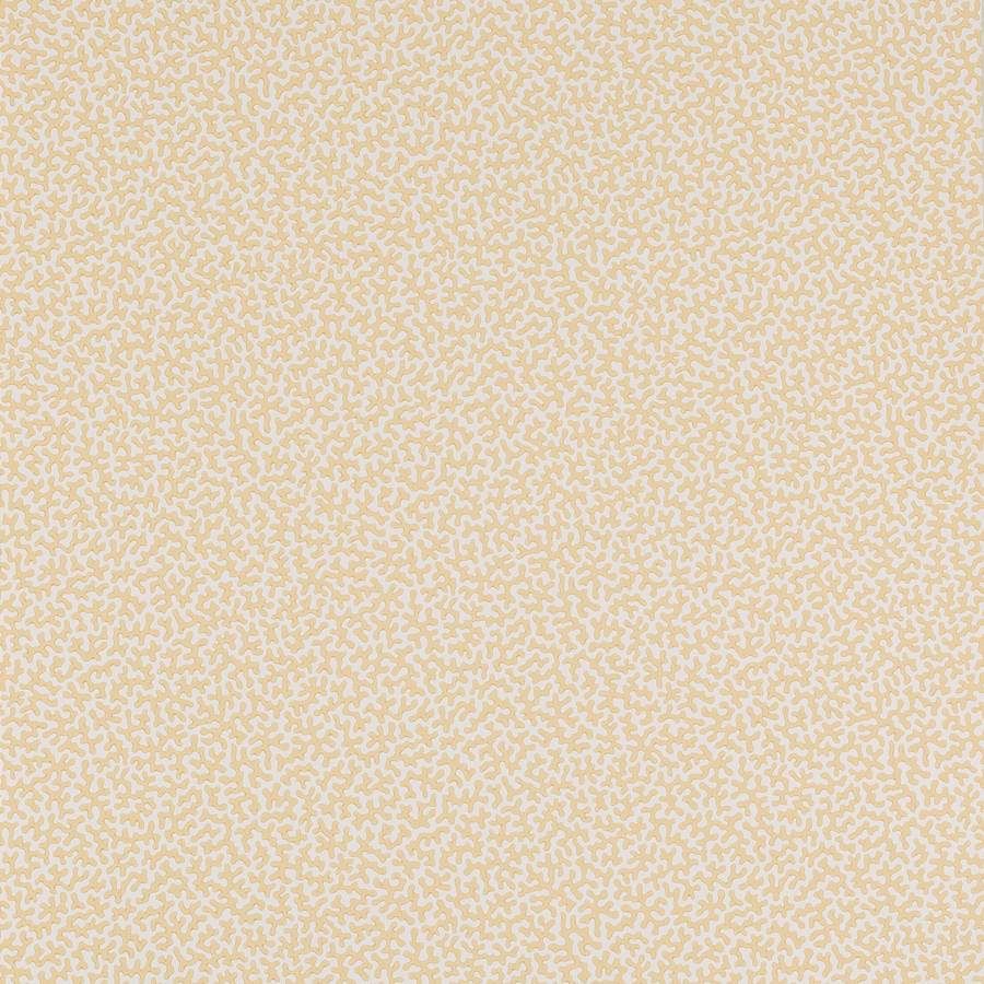 Colefax and Fowler Tapet Wendle Yellow