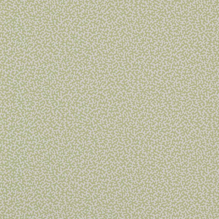 Colefax and Fowler Tapet Wendle Leaf