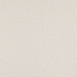 Colefax and Fowler Tapet Wendle Silver