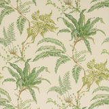 Colefax and Fowler Tapet Woodfern Green